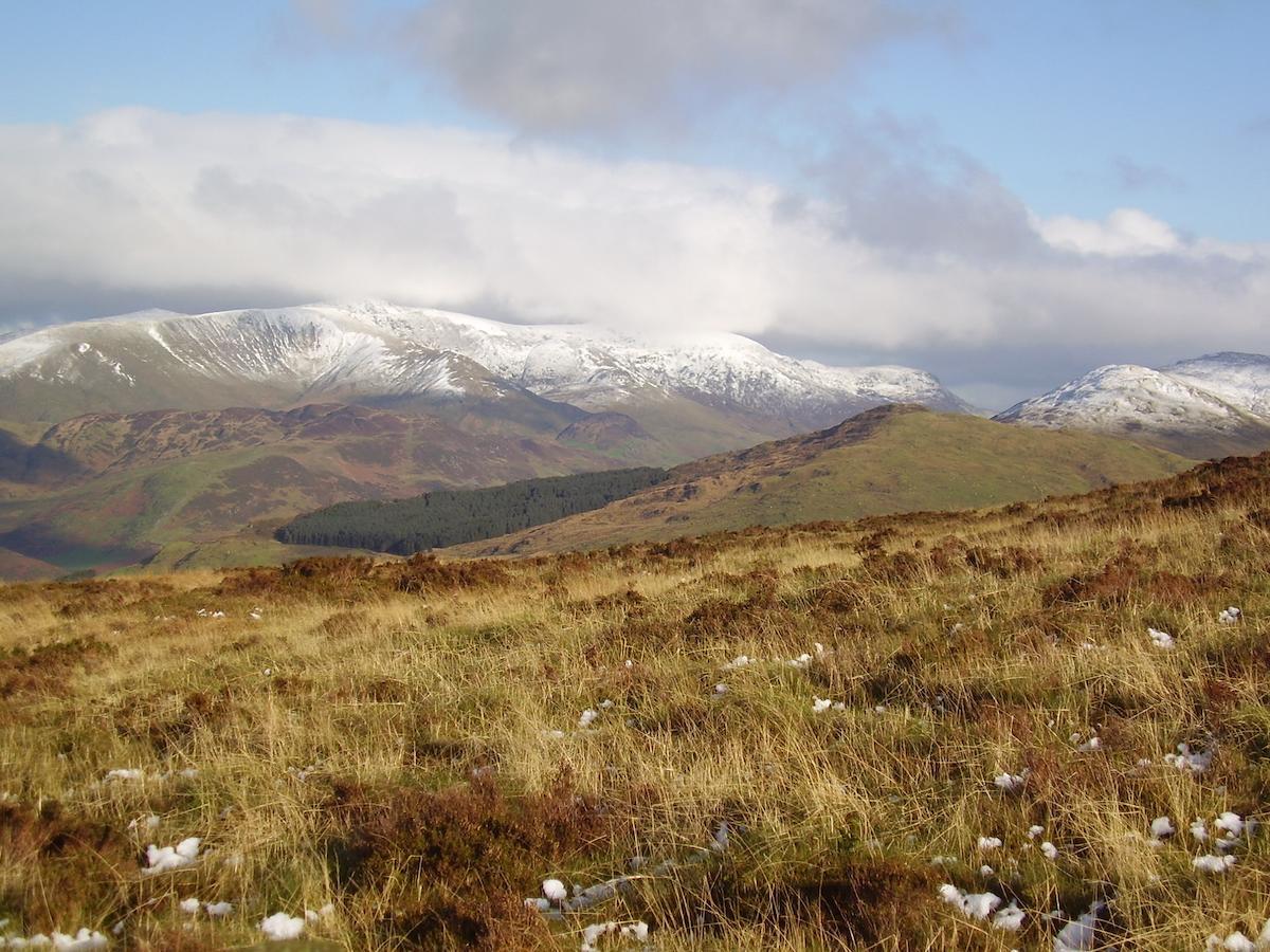 مبيت وإفطار Bryn-crug The Dolgoch المظهر الخارجي الصورة