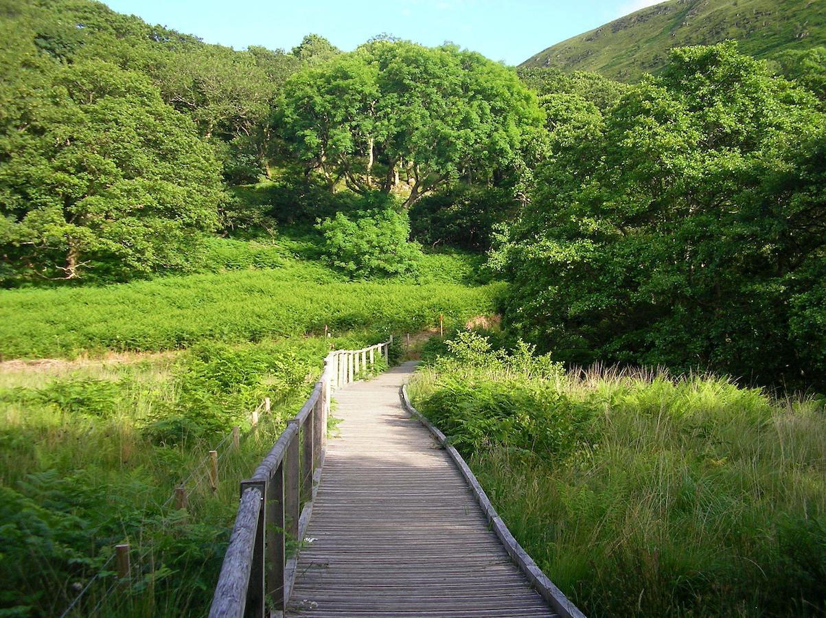 مبيت وإفطار Bryn-crug The Dolgoch المظهر الخارجي الصورة